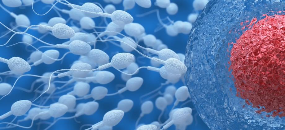 aumentar o esperma semen quantidade e qualidade fertilidade